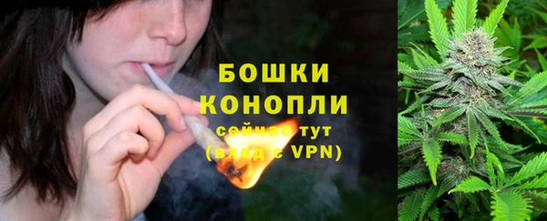 прущие крисы Гусь-Хрустальный