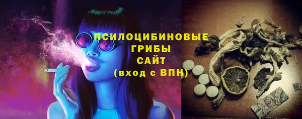 прущие крисы Гусь-Хрустальный